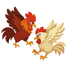 cockfight